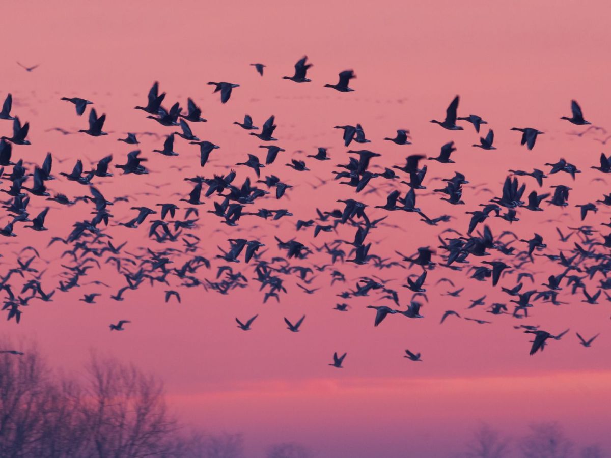 Veiligheid Opnieuw Doordenken